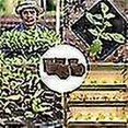 thumbnail image 4 of Plant Grow Sponges For Garden Hydroponic Indoor Garden Smart Sponge With Nutrients, Replacement Gro, 4 of 5