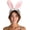 Rabbit, variant on Animal Ears Headband Farm Wild Plush Animals Hair Band Christmas Birthday Decor Cosplay
