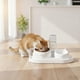 thumbnail image 5 of Comedero y bebedero automático para mascotas | Diseño de doble cuenco para perros y gatos | Acero inoxidable y plástico | Sistema inteligente de recarga de agua | Fácil de limpiar, 5 of 6
