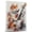 Akita, variant on Wire Fox Terrier Dog Stretched Canvas Size 8x12 – Bass Guitar Canvas Print of Funny Wire Fox Terrier Dog Wall Art, Bass Guitar Music Wall Decor, Dog Lover