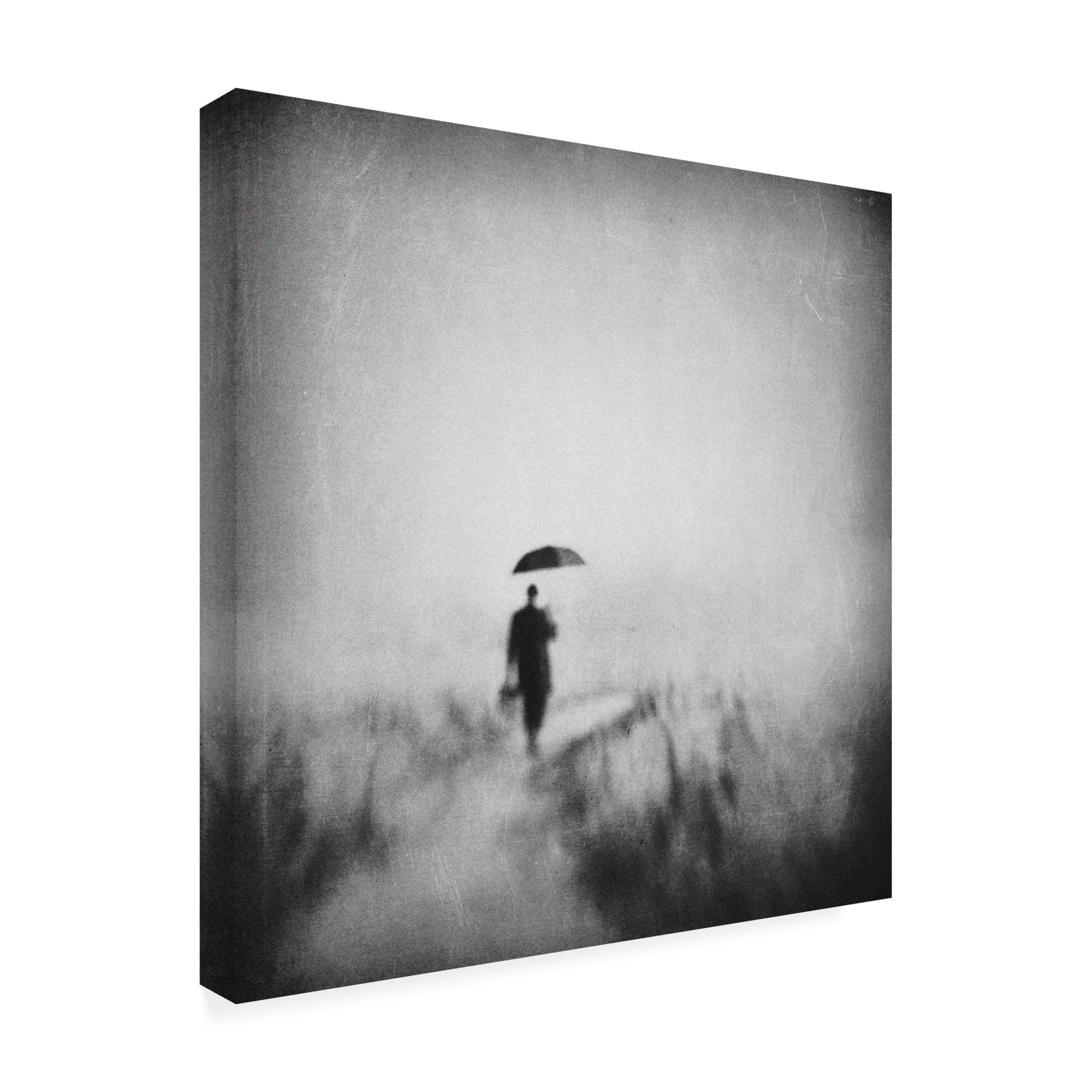 Canvas Wall Art - Delphine Devos 'Winding Road' Wall Art for Living Room, Bedroom, or Office Décor by Trademark Fine Art - 18 x 18 Inches