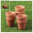 thumbnail image 3 of Worgeous  20 Pcs Terracotta Pots Decorative Small Indoor Plant Decoration, 3 of 8