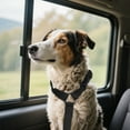 thumbnail image 3 of Hearth & Gear Car Pet Belt Dog Car Leash Cute Pet Car Adjustable Rope Rope Strong Retractable Dog Leash Heavy Duty Retractable Dog Leash Chew Proof Wrist Leash for 2 Dogs Two Dogs Leash Leather Dog, 3 of 4