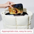 thumbnail image 6 of Surf Velvet Portable Storage Box with Removable Compartment: Display Case, Jewelry Box, and Jewelry Stand - Gift, 6 of 7