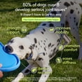 thumbnail image 2 of Native Pet Hip & Joint Advanced Care Powder Supplement for Dogs, 6.3-oz, 2 of 9