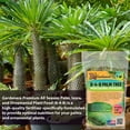 thumbnail image 2 of ⭐ All Season Palm, Ixora, and Ornamental Plant Food (8-4-8 Fertilizer) by Gardenera - Enhance the Health and Resilience of Your Ornamental Plants - 2 QUARTS, 2 of 7