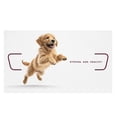 thumbnail image 3 of Bupper Puppy Medium 2 Kg, 3 of 3