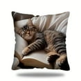 thumbnail image 2 of Qiweii Cute Sleeping Cat Book Theme Short-Pile Pillowcase Soft Sofa Living Room Cushion Cover, 2 of 6