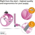 thumbnail image 3 of CURLI Puppy Set Pink 2XS/Leash M, 3 of 6