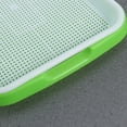 thumbnail image 3 of KAKOWELY Propagator Tray Multi PP Material Home Cultivation 1Set 12.58X9.43X1.97in, 3 of 8