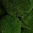 thumbnail image 4 of Vickerman Botanicals Naturales Musgo de Poste Verde Manzana, 4 of 4