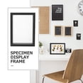 thumbnail image 2 of Glass Display Frame Wooden Frame Specimen Double-sided Glass Frame Picture Frame, 2 of 9
