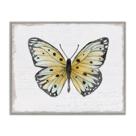 Stupell Industries Beautiful Butterfly on White Animals Painting Gray Framed Art Print Wall Art, 30 x 24
