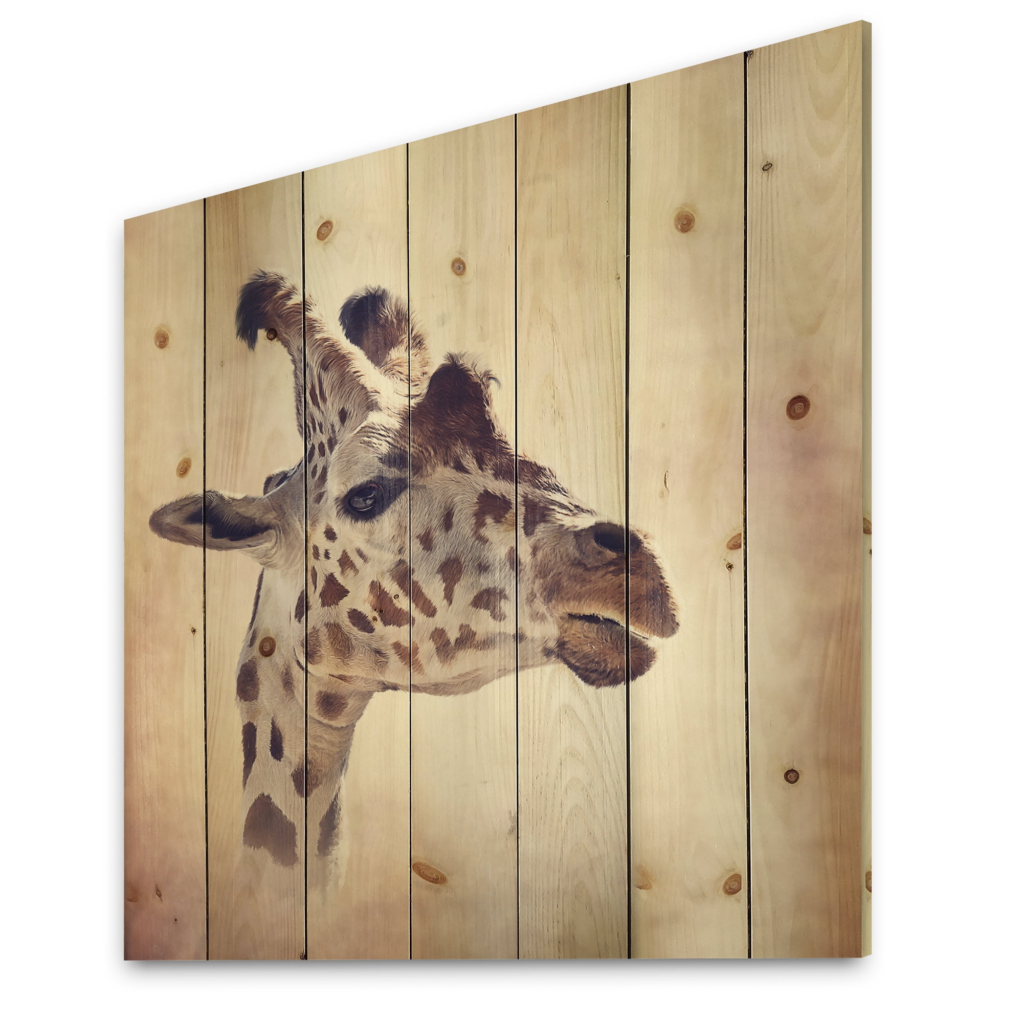 Designart 'Close Up Portrait of A Giraffe VII' Farmhouse Print on Natural Pine Wood