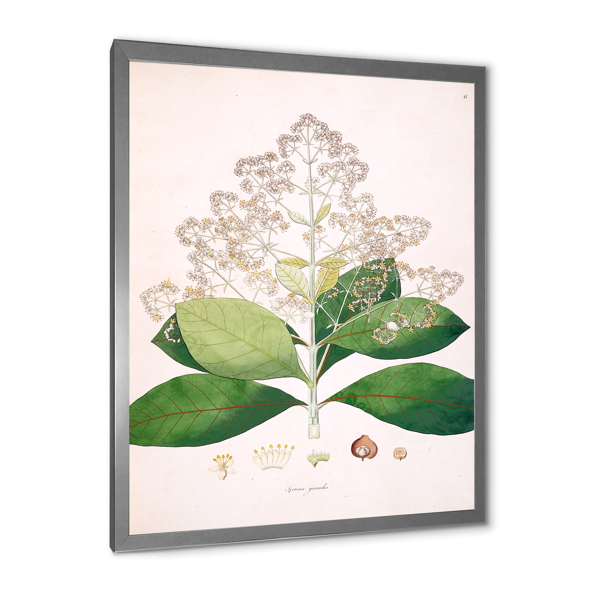 Designart 'Ancient London Plants III' Farmhouse Framed Art Print