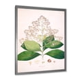 thumbnail image 2 of Designart 'Ancient London Plants III' Farmhouse Framed Art Print, 2 of 4