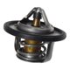 thumbnail image 1 of Termostato Honda Accord Civic Mte-thomson MTE-Thomson Termostato Honda Accord Civic Mte-thomson, 1 of 3
