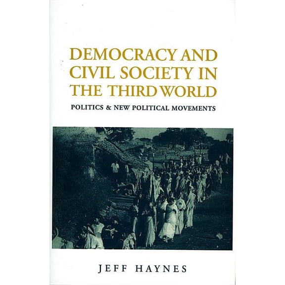 Democracy and Civil Society in the Third World: Interpretation and Critique (Paperback)