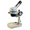 AmScope Excellent Dissecting Microscope 20x New