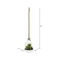 thumbnail image 6 of Vickerman 10" Artificial Green Assorted Succulents in Glass Jar., 6 of 6