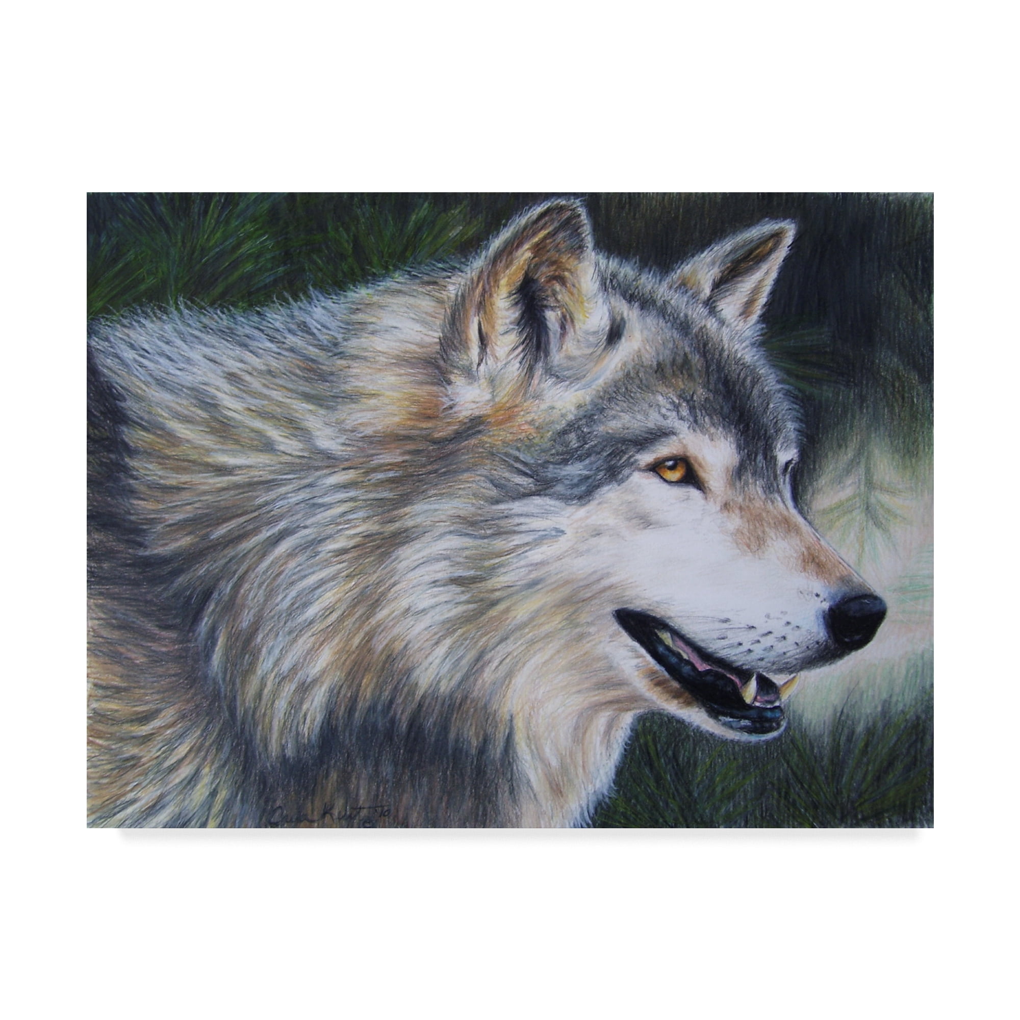 Trademark Fine Art 'Timber Wolf Dark' Canvas Art by Carla Kurt