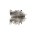 thumbnail image 1 of Natural Kobe Cowhide Rug | 5'x7', 1 of 2