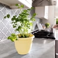 thumbnail image 2 of Bloem Ariana 8" Self-Watering Plastic Planter - Rolled Rim Indoor/Outdoor Garden Pot, Daffodil, 2 of 8