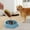 B, variante sur Giunmcul Bol pour Chien Bol de Nourriture Lente Distributeur pour Chiens de Petite et Moyenne Taille Bol de Nourriture Lente pour Chien Chercheur de Cadeaux des Fêtes