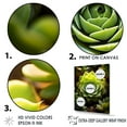 thumbnail image 3 of Designart "Verdant Succulent Flourish" Succulent Floater Framed Wall Art Prints, 3 of 5