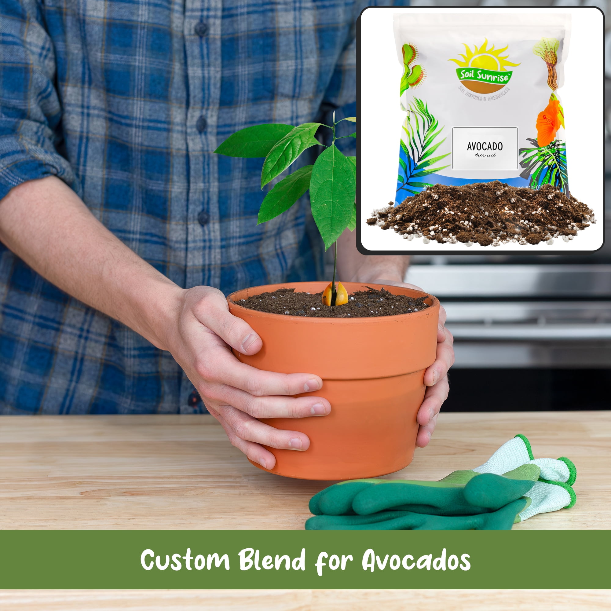 Avocado Tree Potting Soil Mix (12 Quarts), for Germinating, Growing and Repotting Avocado Plants