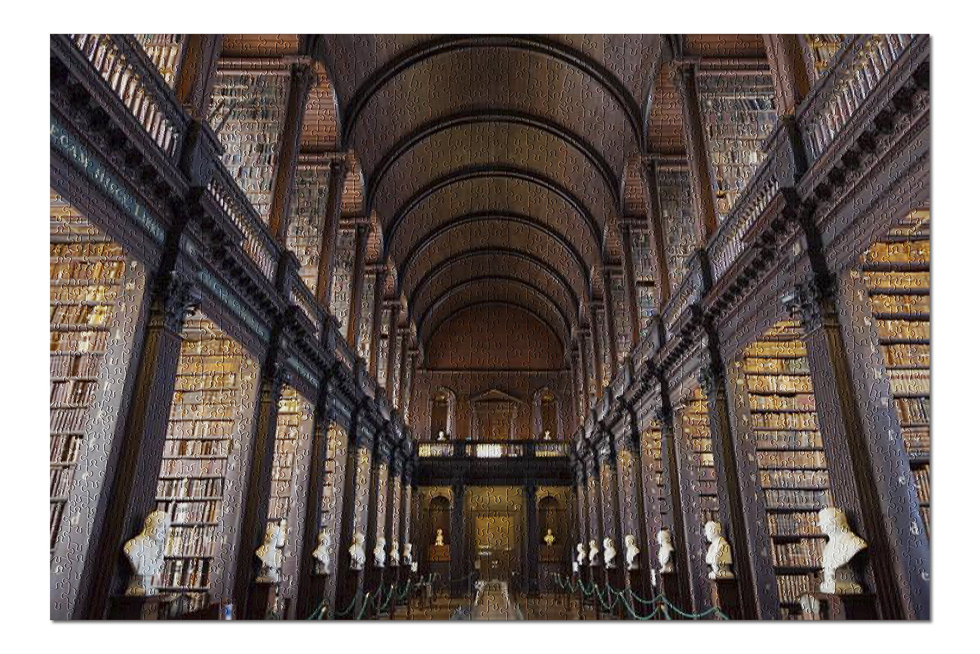Ireland Dublin Trinity College Library Jigsaw Puzzle 1000 Piece Wooden 