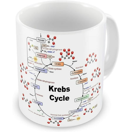 

Funny Mug Krebs Cycle Teacher Student Biochemistry Educational Gift Mug.