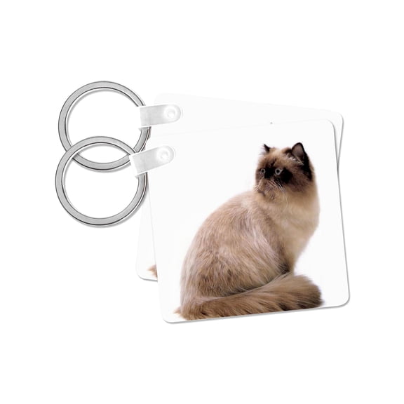 3dRose, Himalayan Cat, set of 2 Key Chains