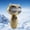 Gold, variant on Owl Theme Mini Handheld Dual Fan, Digital Display, USB Rechargeable Portable Cooling Fan, for Office Home Indoor Outdoor & Gifting