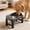 Gray24, variant on Tuvgenk Adjustable Elevated Dog Bowls, Stainless Steel, Black, Easy-to-Clean Food & Water Bowl Stands, Non-Slip Pet Feeder Dish Station for Small to Medium Size Dogs