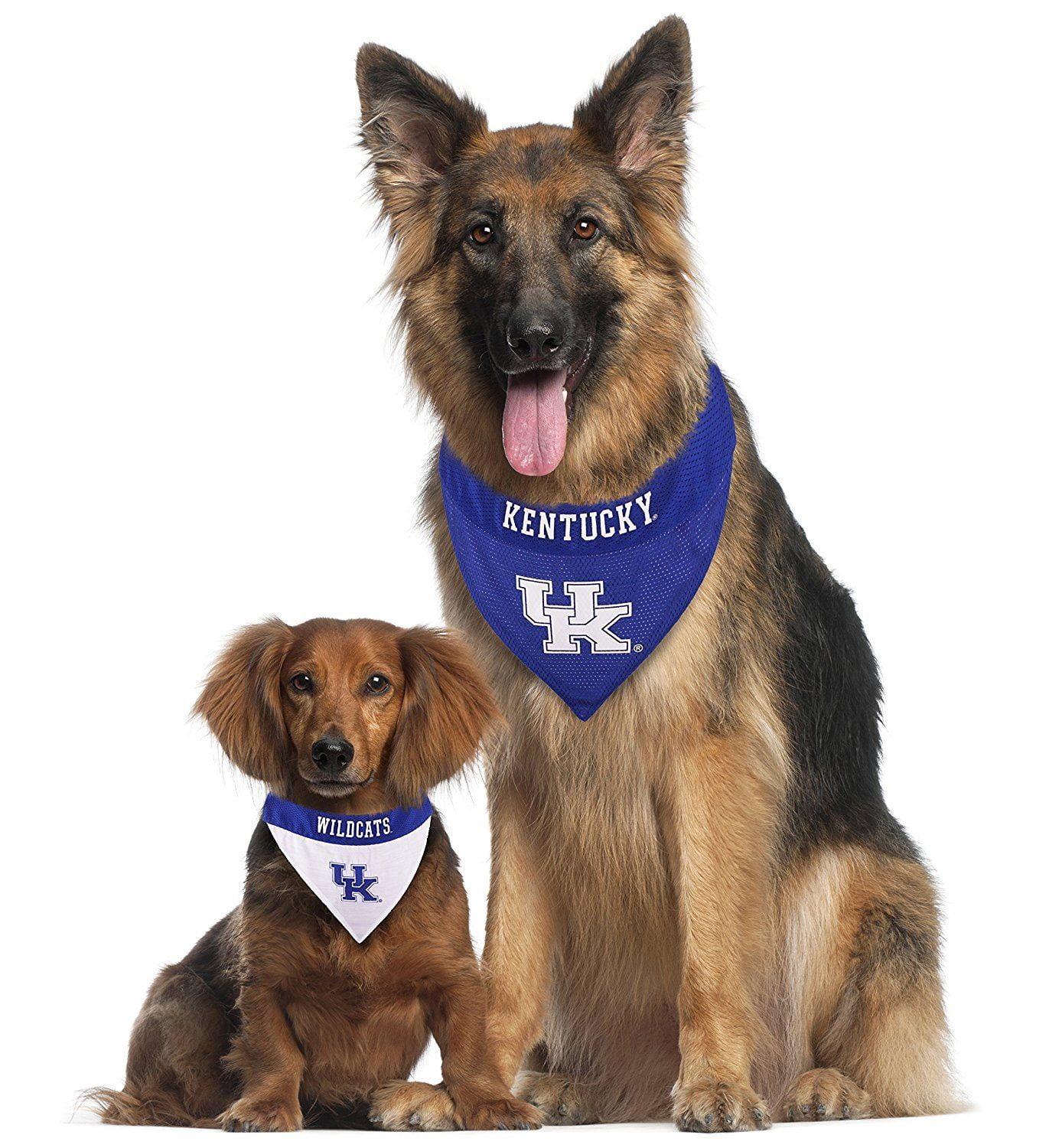 Pets First Collegiate Kentucky Reversible Bandana -Home & Away Mesh & Premium Embroidery For Dogs & Cats