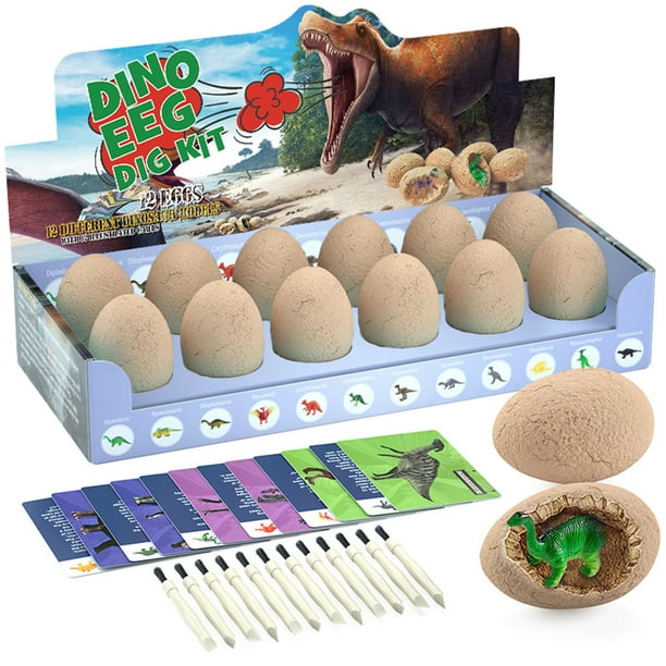 Kit de excavación de dinosaurios - Juego de excavación arqueológica de 12 piezas con herramientas, huesos realistas de dinosaurio para un proyecto educativo de STEM y ciencia