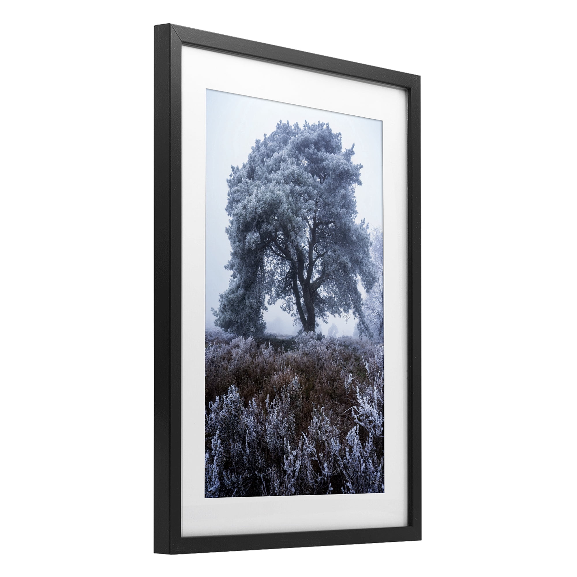 Stupell Industries Frosted Tree in Winter Mist Black Framed Print Under Glass, design by Martin Podt