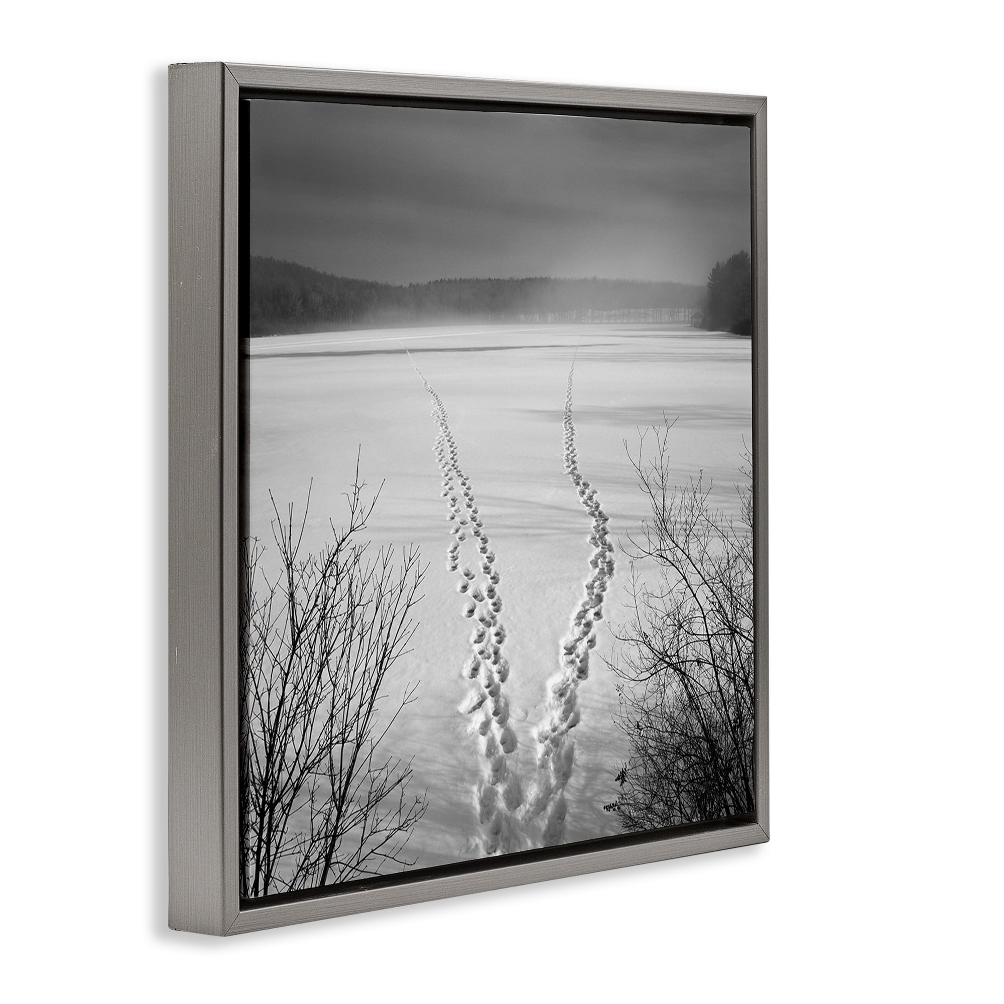 Stupell Industries Snowstep Tracks Across Frozen Lakes Gray Framed Floater Canvas Wall Art, design by Chip Forelli