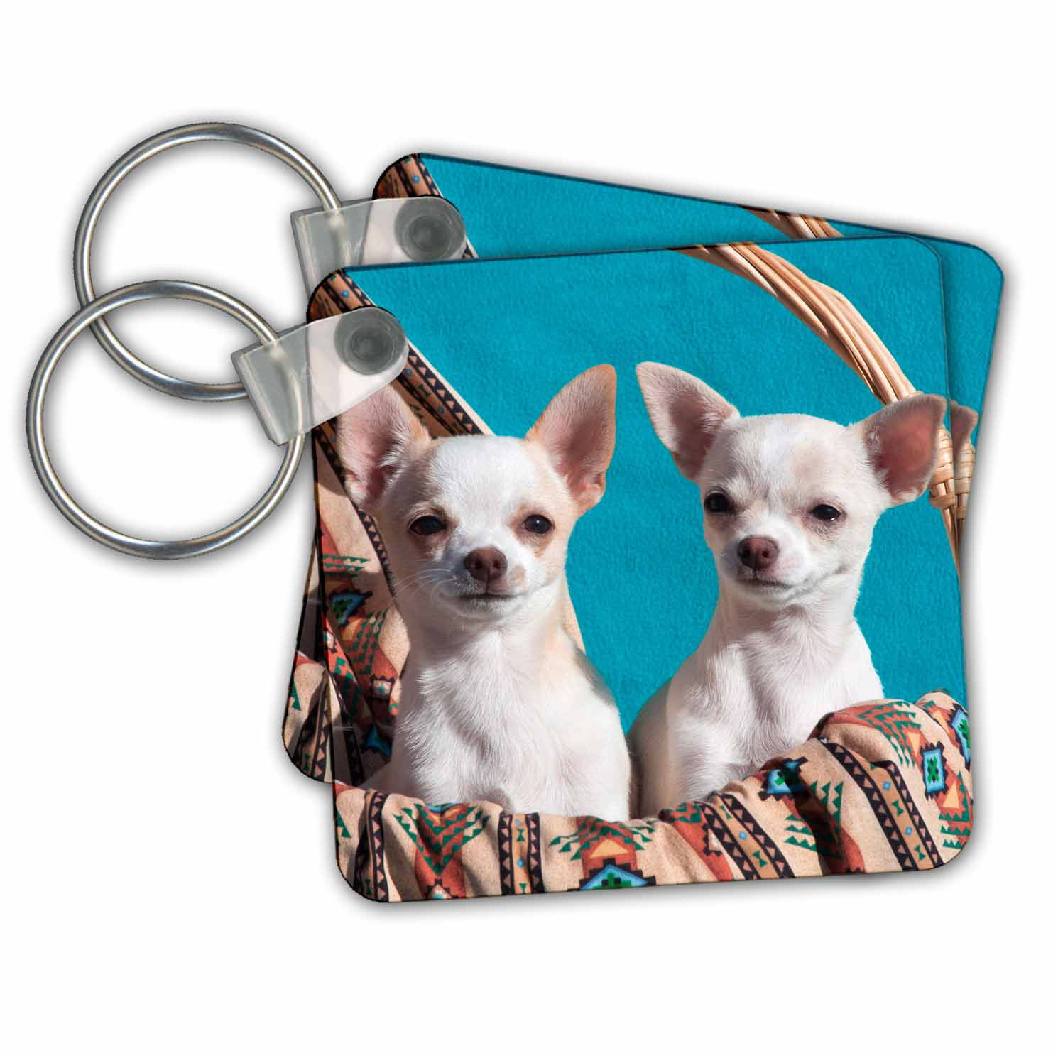 qs_92682_3 US32 JMR0502 Quilt Square 8 by 8-inch Julien McRoberts Santa Fe New Mexico 3dRose Toothless Chihuahua Dog 
