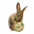 thumbnail image 1 of xinxixnxx Small Pet Chewing Toy Straw Woven Ball Toy for Hamster Rabbit Gerbils, 1 of 6