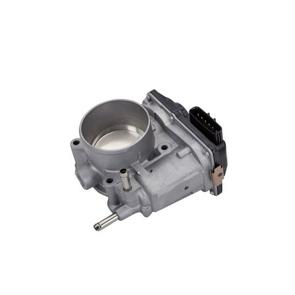 Fuel Injection Throttle Body