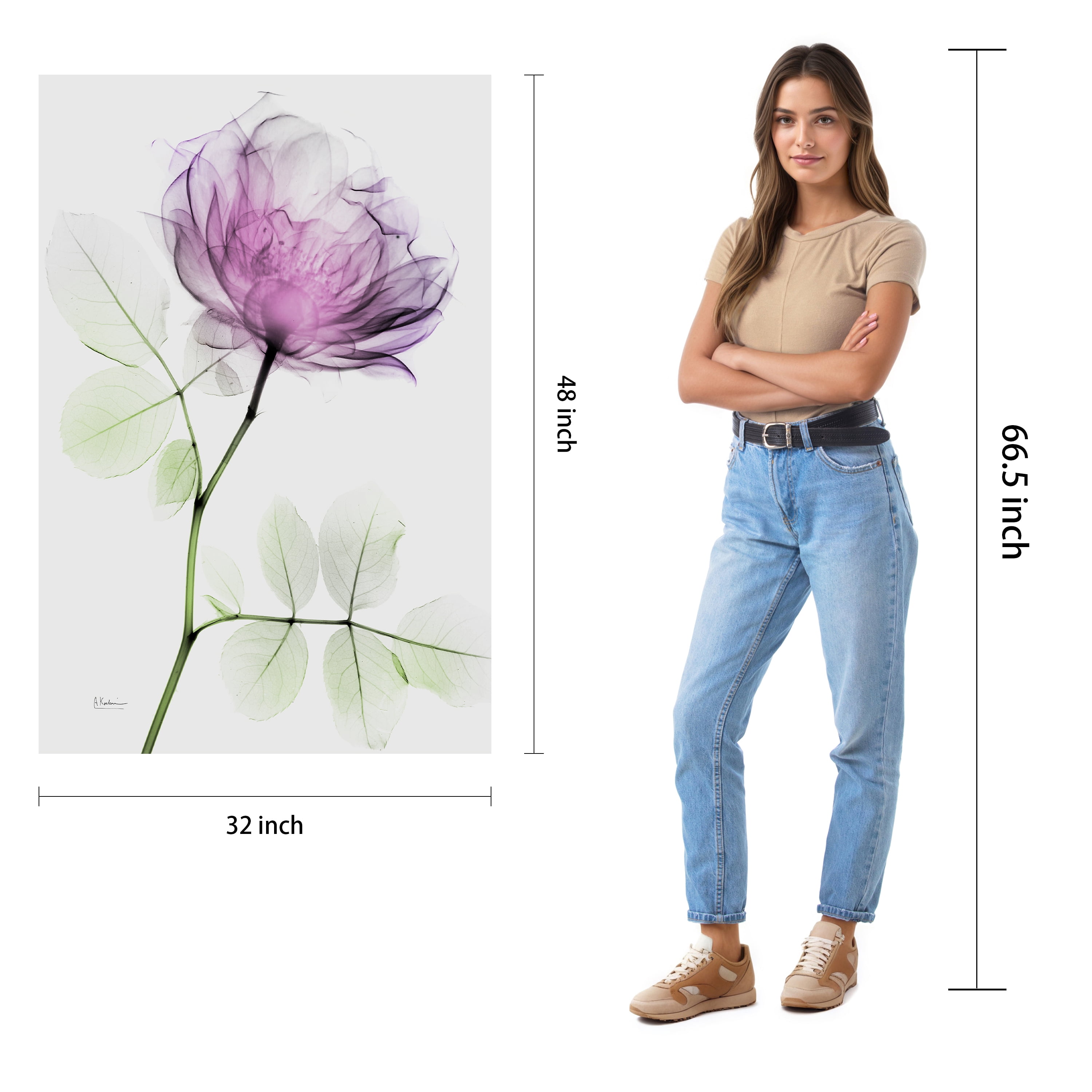 Rose Dynasty 1 Frameless Free Floating 32 in x 48 in Painting Art Prints, by Empire Art Direct