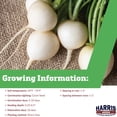 thumbnail image 2 of Harris Seeds Pearl Organic Radish, White Round Roots for Fresh Use, 250 Count, 2 of 7