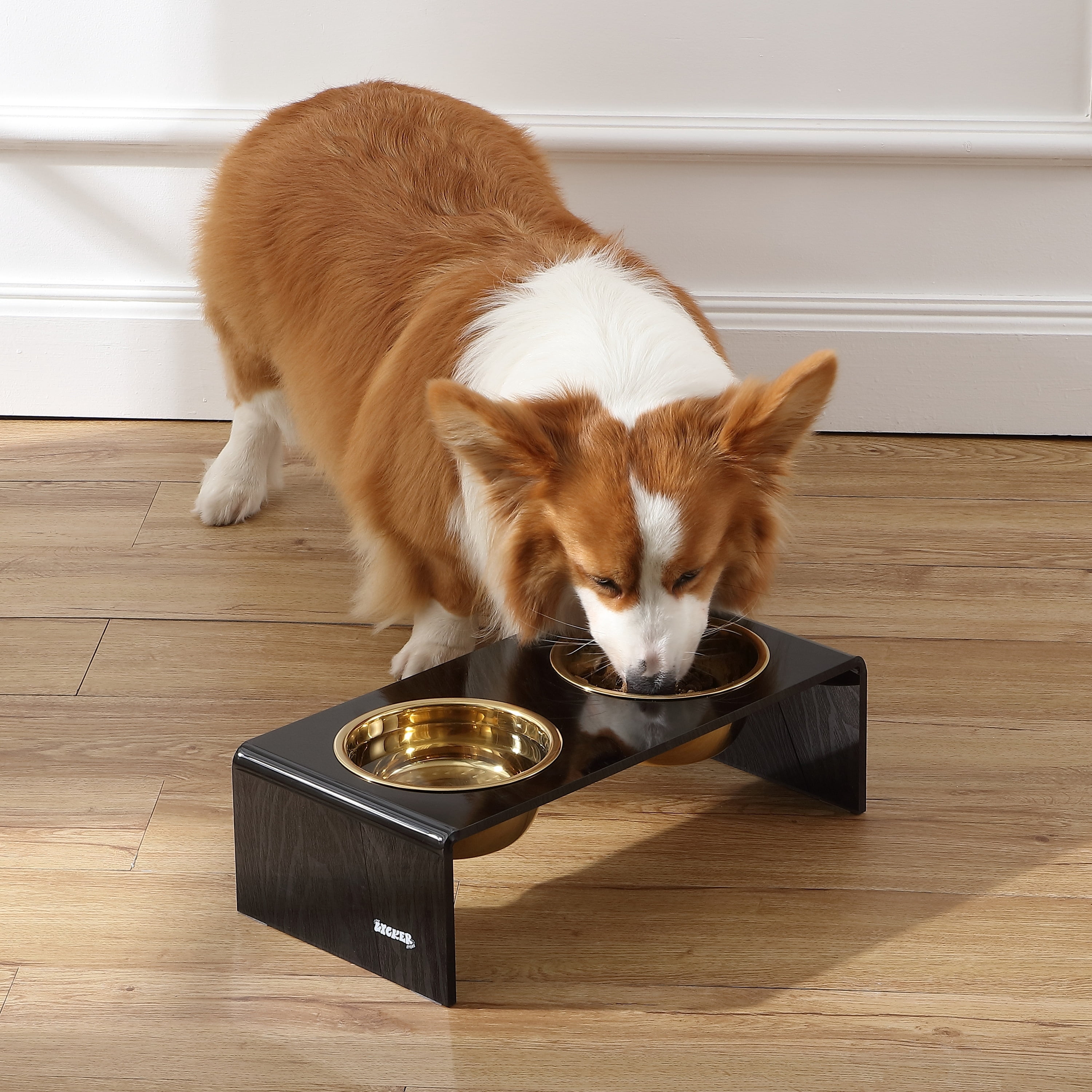 THE LICKER STORE Keaton 5" Small/Medium Modern Acrylic Rectangular Elevated Pet Feeder with 20oz 2-Stainless Steel Bowls, Black/Gold, DBL2000B