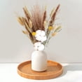 thumbnail image 4 of Ramo de flores de caña de fragmitas de hierba de pampa seca, decoración para Zulema hierba de pampa seca, 4 of 7