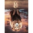 thumbnail image 1 of Diamond Painting (DE4978) 5D DIY Animal Round Resin Craft (Reflejo de león LD445) 20X30cm FLhrweasw Nuevo, 1 of 1
