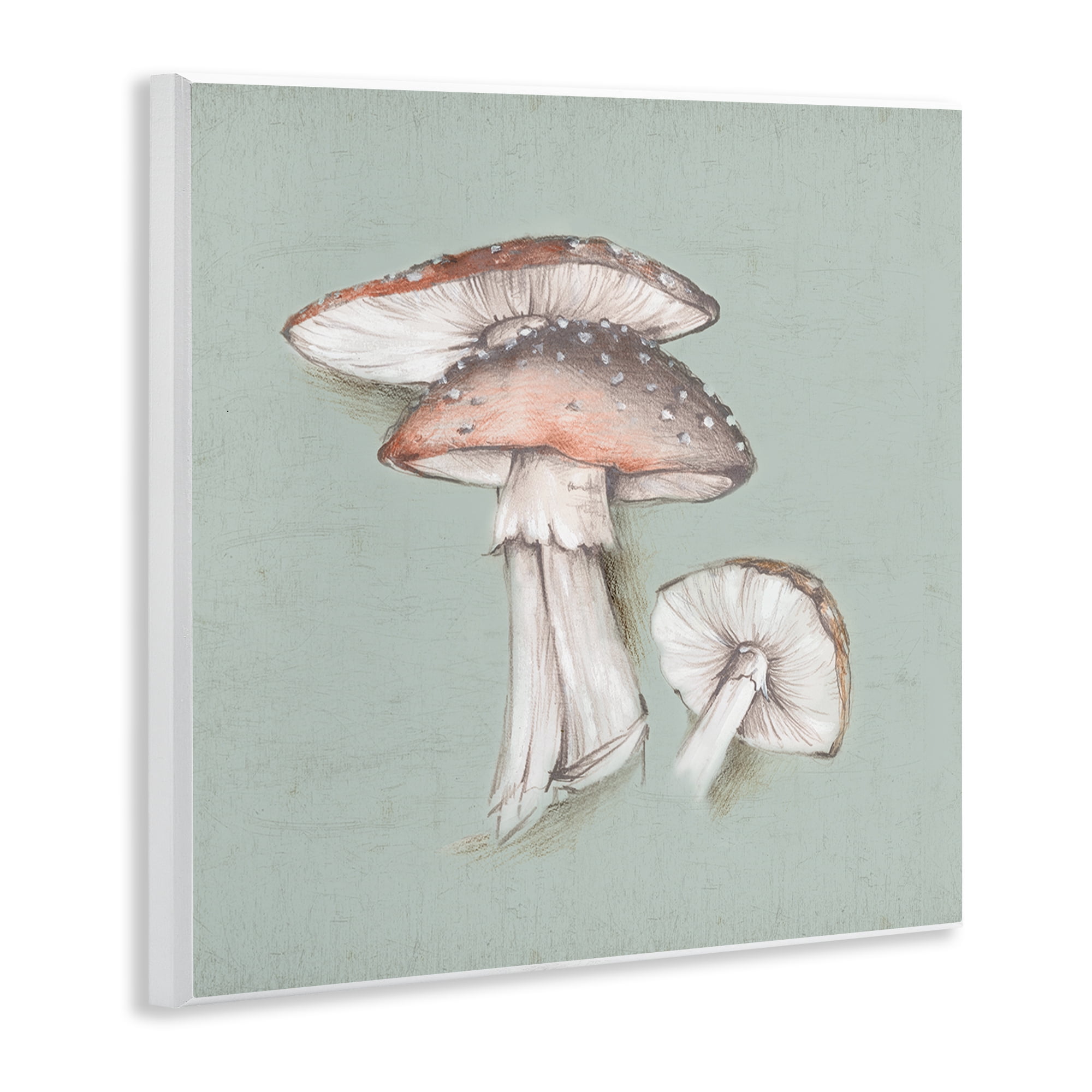 Stupell Industries Mushroom Bunch Drawing Plants & Flowers Painting Unframed Art Print Wall Art, 12 x 12