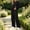 Black, variant on Women 2‑Piece Matching Sweat Outfit, Crew Neck Long‑Sleeve Oversized Sweatshirt & Drawstring Wide‑Leg Sweatpants, Casual Loose‑Fit Fall Loungewear Tracksuit Set