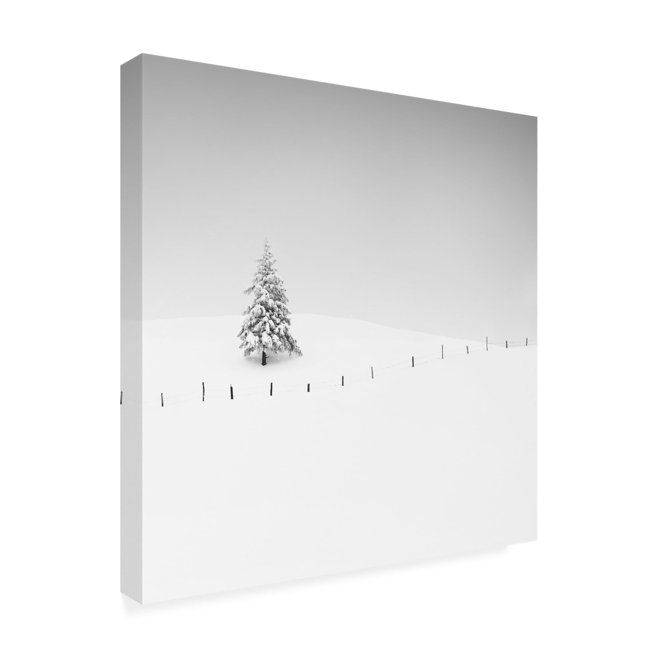 Canvas Wall Art - Alexej Schulz 'Placeholder' Wall Art for Living Room, Bedroom, or Office Décor by Trademark Fine Art - 18 x 18 Inches
